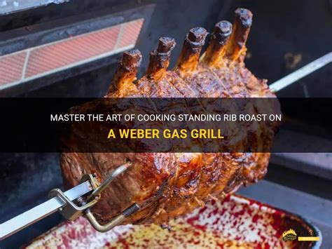 cooking rib roast on weber gas grill